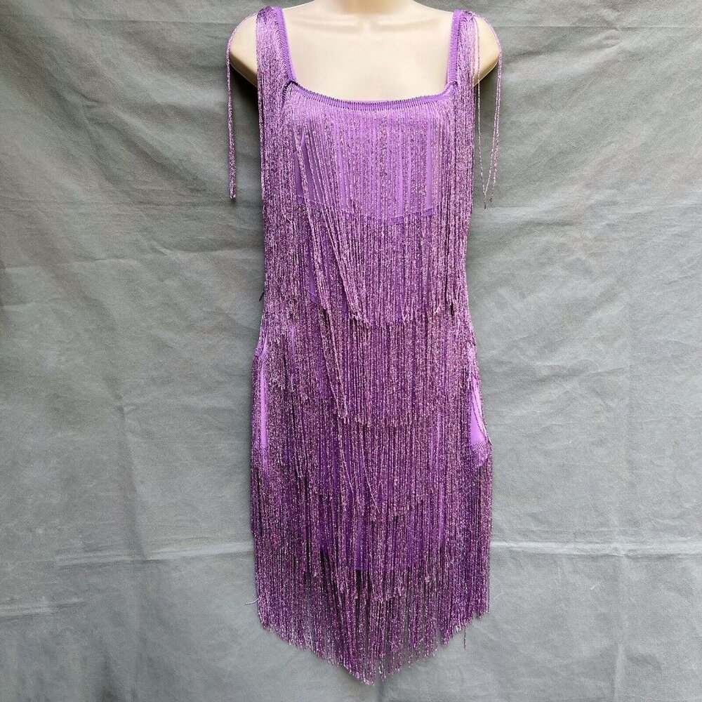 Lavender Fringe Flapper Dress Sz M Perfect for Eras Tour!